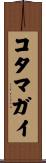 コタマガイ Scroll