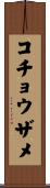コチョウザメ Scroll