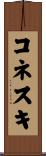コネスキ Scroll