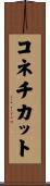 コネチカット Scroll