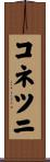 コネツニ Scroll