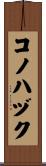 コノハヅク Scroll