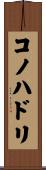 コノハドリ Scroll