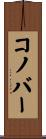 Conover Scroll