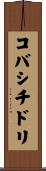 コバシチドリ Scroll