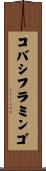 コバシフラミンゴ Scroll