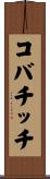コバチッチ Scroll