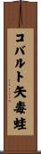 コバルト矢毒蛙 Scroll