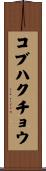 コブハクチョウ Scroll