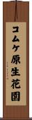 コムケ原生花園 Scroll