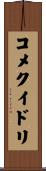 コメクイドリ Scroll