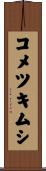 コメツキムシ Scroll