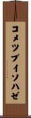 コメツブイソハゼ Scroll