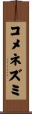 コメネズミ Scroll