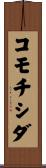 コモチシダ Scroll