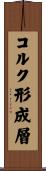 コルク形成層 Scroll