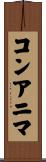 コンアニマ Scroll