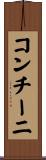 コンチーニ Scroll