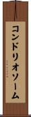 コンドリオソーム Scroll