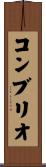 コンブリオ Scroll