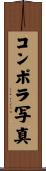 コンポラ写真 Scroll