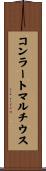 コンラートマルチウス Scroll