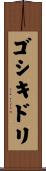 ゴシキドリ Scroll