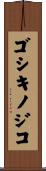 ゴシキノジコ Scroll