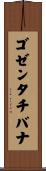 ゴゼンタチバナ Scroll