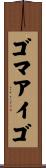 ゴマアイゴ Scroll
