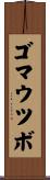ゴマウツボ Scroll