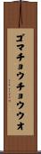 ゴマチョウチョウウオ Scroll