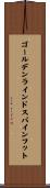 ゴールデンラインドスパインフット Scroll