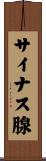 サイナス腺 Scroll