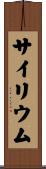 サイリウム Scroll