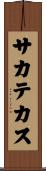 サカテカス Scroll