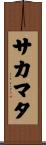 サカマタ Scroll
