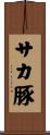 サカ豚 Scroll