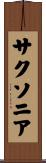 サクソニア Scroll
