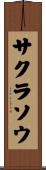 サクラソウ Scroll