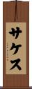 Saketh Scroll