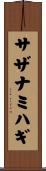 サザナミハギ Scroll