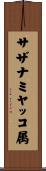 サザナミヤッコ属 Scroll