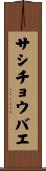 サシチョウバエ Scroll