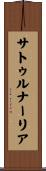サトゥルナーリア Scroll