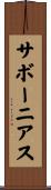 サボーニアス Scroll