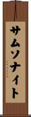 サムソナイト Scroll