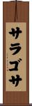 Zaragoza Scroll