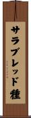 サラブレッド種 Scroll