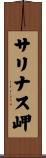 サリナス岬 Scroll